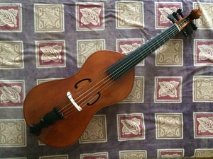 Tenor viol after Antonio Brensio (Bologna, 1612?), currently in the collection of the Castello Sforzesco, Milan.  Quilted maple and black oxidised oak.